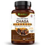 Chaga extrakt 4:1 – full spectrum, 90 veganska kapslar