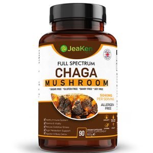 Full Spectrum Chaga Mushroom Powder Extract 4:1